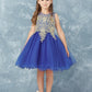 Royal Blue Girl Dress with Floral Applique Bodice - AS7013