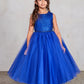 Royal Blue Girl Dress with Sequin and Tulle Skirt Dress - AS5752
