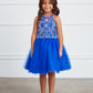 Royal Blue Girl Dress with Short Choker Style - AS7037