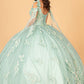 Sage_1 Elizabeth K - GL3099 - Mesh V-Neck Applique Quinceanera Dress