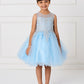 Sky Blue Girl Dress with Floral Applique Bodice - AS7013
