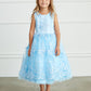 Sky Blue Girl Dress with Metallic Lace Embroidery Tulle Skirt Dress - AS5816