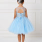 Sky Blue_1 Girl Dress with Floral Applique Bodice - AS7013