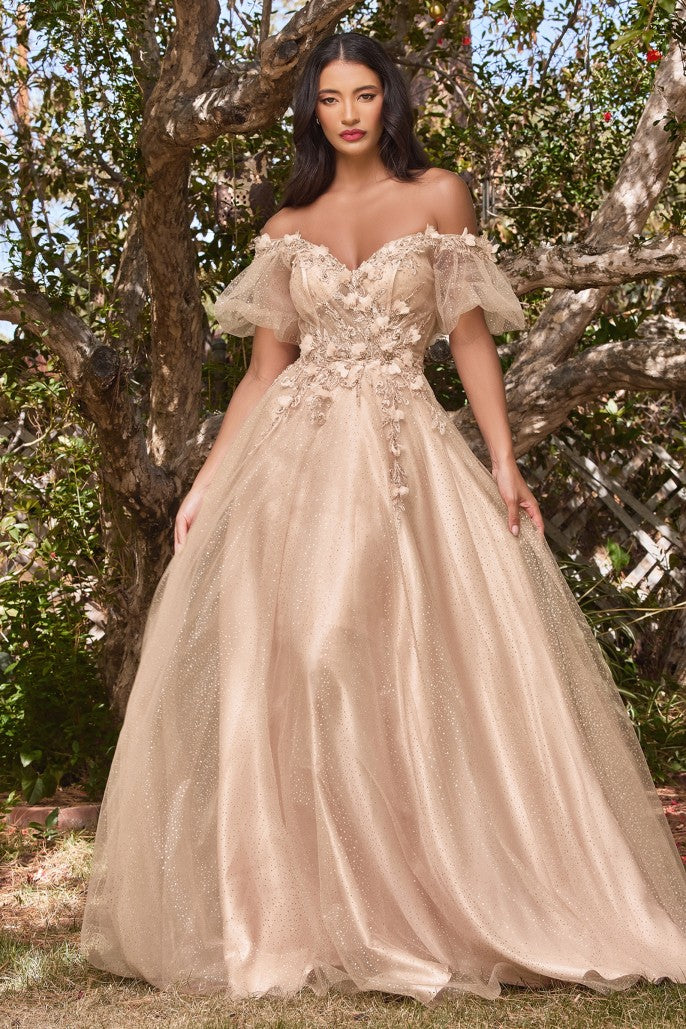 Vestido de baile de noiva de tule com renda floral da Cinderela Divine CM320