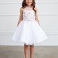 White Girl Dress with Short Choker Style - AS7037