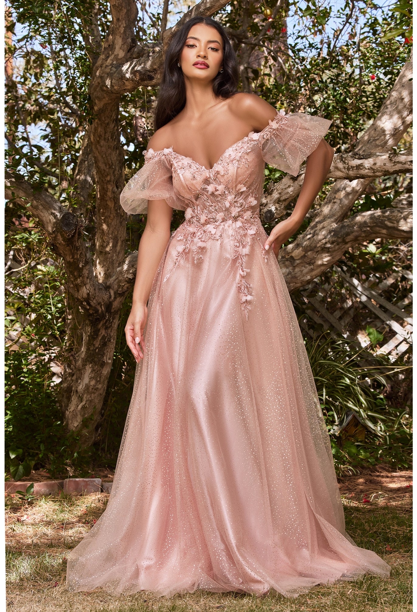 Tulle Off the Shoulder A-line Women Formal Evening Gown by Cinderella Divine CD0197 - Special Occasion