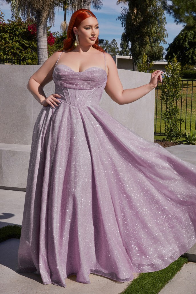 Plus Size Corset Formal Dresses