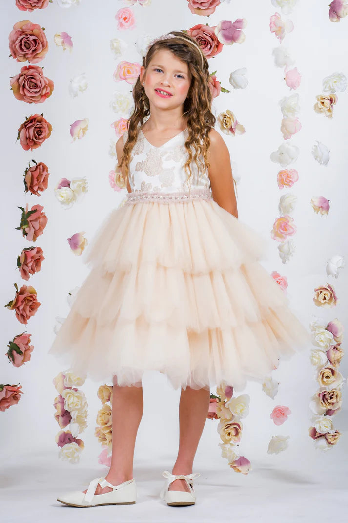 Girl Party Rose Brocade 10 Layer Illusion Dress by AS412 Kids Dream - Girl Formal Dresses