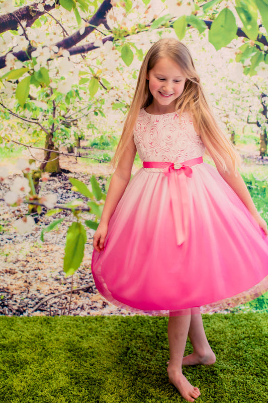 Girl Party Dress- Rosette Bodice Dress - AS322 Kids Dream