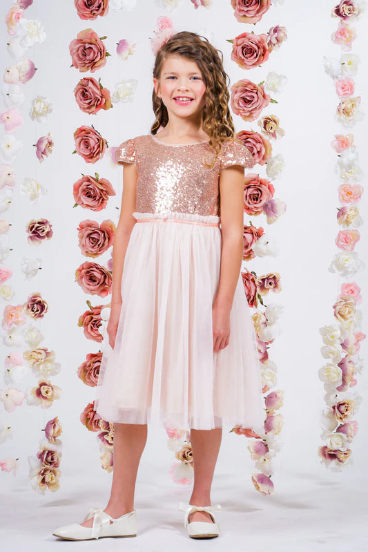 Girl Party Sequin Mesh Pleated Dress by AS410 Kids Dream - Girl Formal Dresses