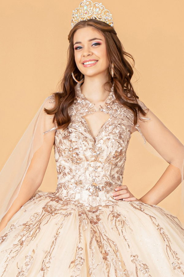 long sleeve champagne quince dress Champagne Lace Applique Quinceanera Dresses Long Sleeve Sweet 15 Dresses 21371 Champagne / 22W