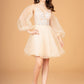Elizabeth K - GS3095 - Mesh Sweetheart Neckline Cocktail Dress - Short