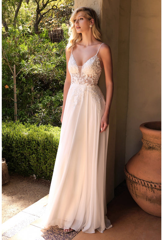 CD TY11 - A-Line Wedding Gown with Sheer Lace Embellished V-Neck Bodic –  Diggz Formals